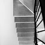 Scribano *