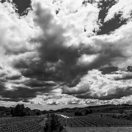 Agroturismo Scribano Prepotto (Udine)