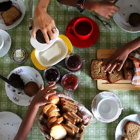 农家乐 Scribano *