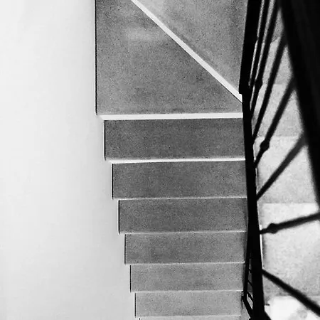 Scribano *